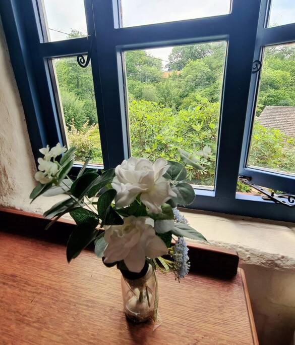 Mill Cottage Garden Annexe Ньютон Эбэт Экстерьер фото