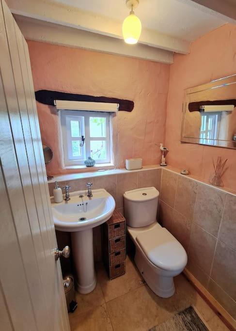 Mill Cottage Garden Annexe Ньютон Эбэт Экстерьер фото